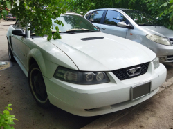 Ford Mustang GT (11.07.2021)