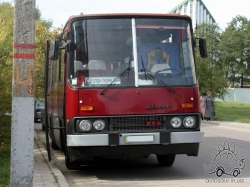 Ikarus 255 (06.10.2013)