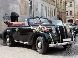 Opel Admiral (25.05.2012)