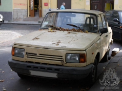 Wartburg 1.3 (05.10.2011)