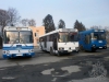 ЛАЗ-4202, ЛАЗ-52528, ЛАЗ-52523 (зліва направо) (07.02.2016)