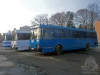 ЛАЗ-4202, ЛАЗ-52528, ЛАЗ-52523 (зліва направо) (07.02.2016)