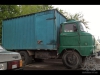 IFA-W50 (05.05.2017)