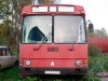 ЛАЗ-4202 (08.10.2013)