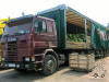 Scania 112m (29.08.2018)
