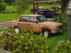 Wartburg 353 (29.08.2021)